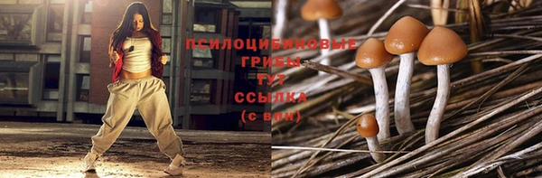 стаф Арсеньев