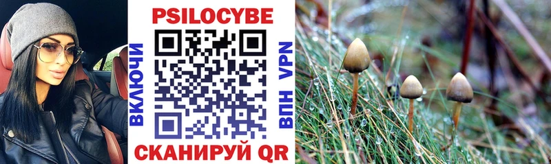 Галлюциногенные грибы Psilocybe omg зеркало Инта купить сайты